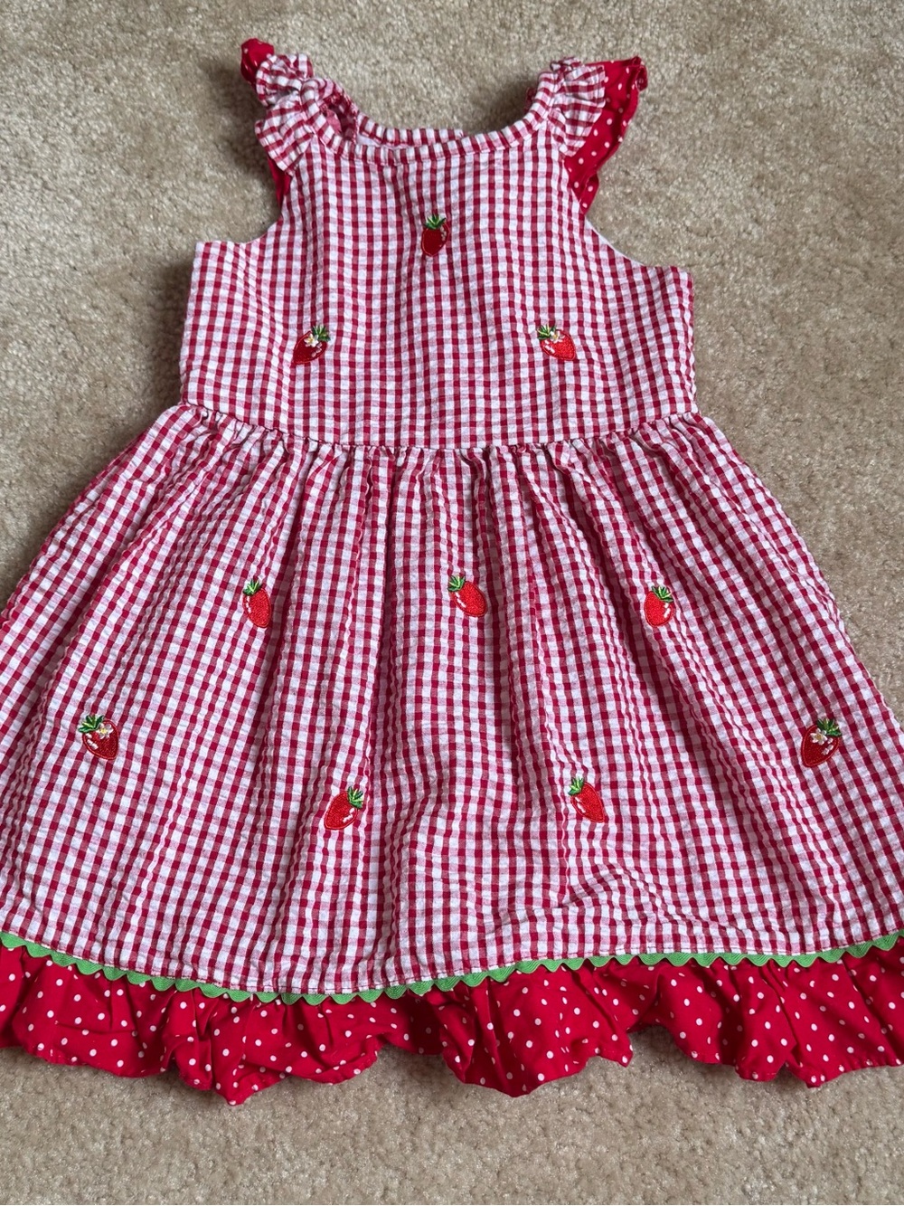 Rare Editions Red Gingham Strawberry Dress